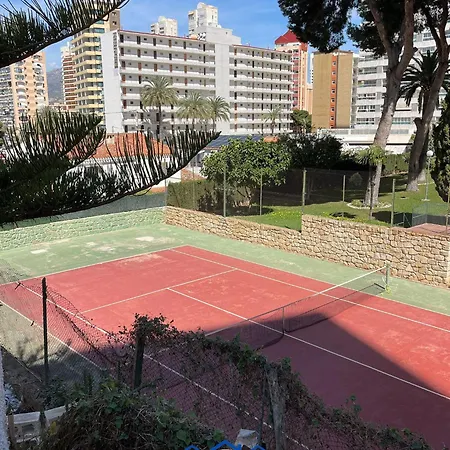 Sunflower * Benidorm