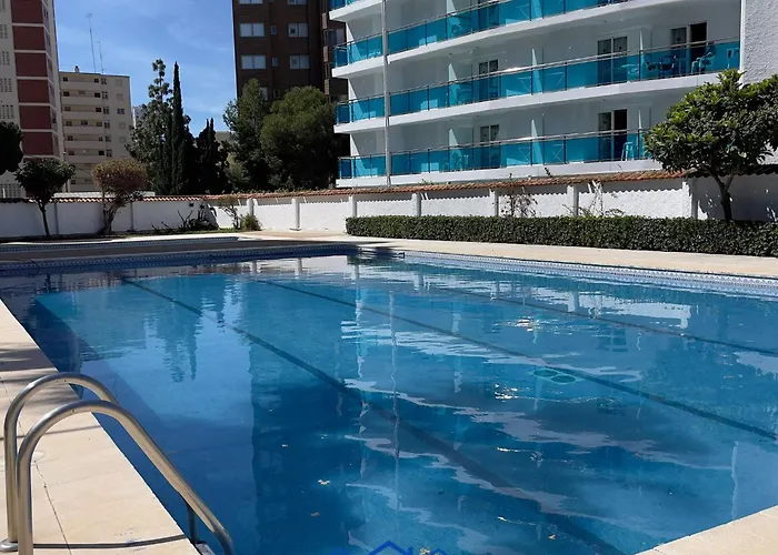 Sunflower Benidorm